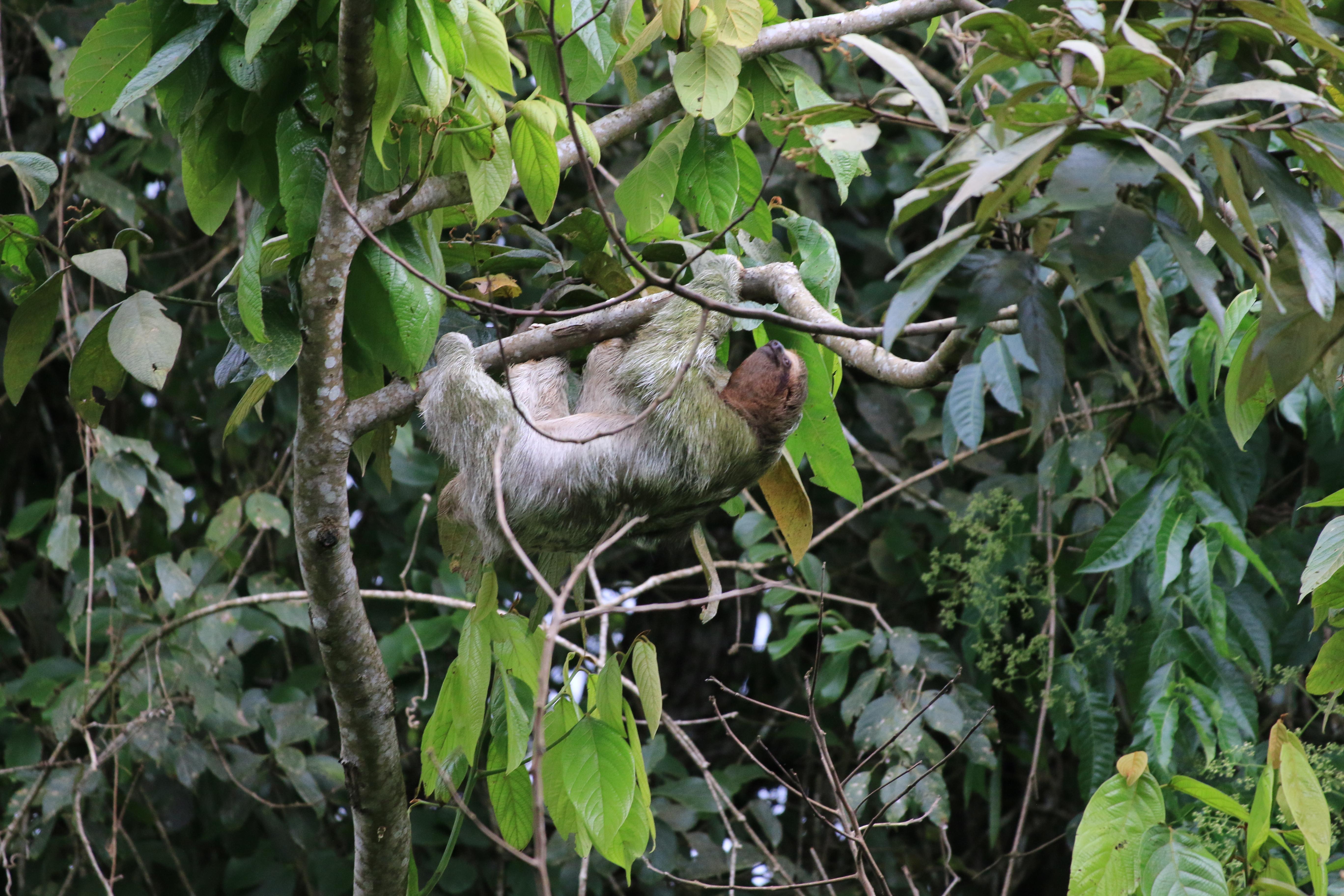 Costa Rica